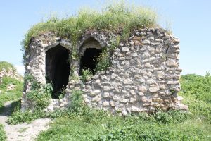 IMG_0214