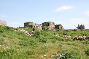 IMG_0241