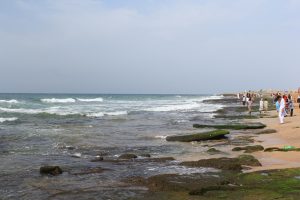 IMG_4685