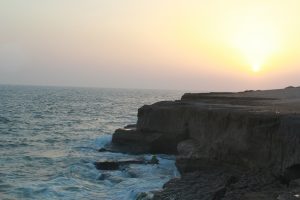 IMG_4713